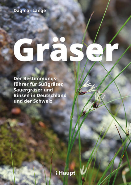 Gräser