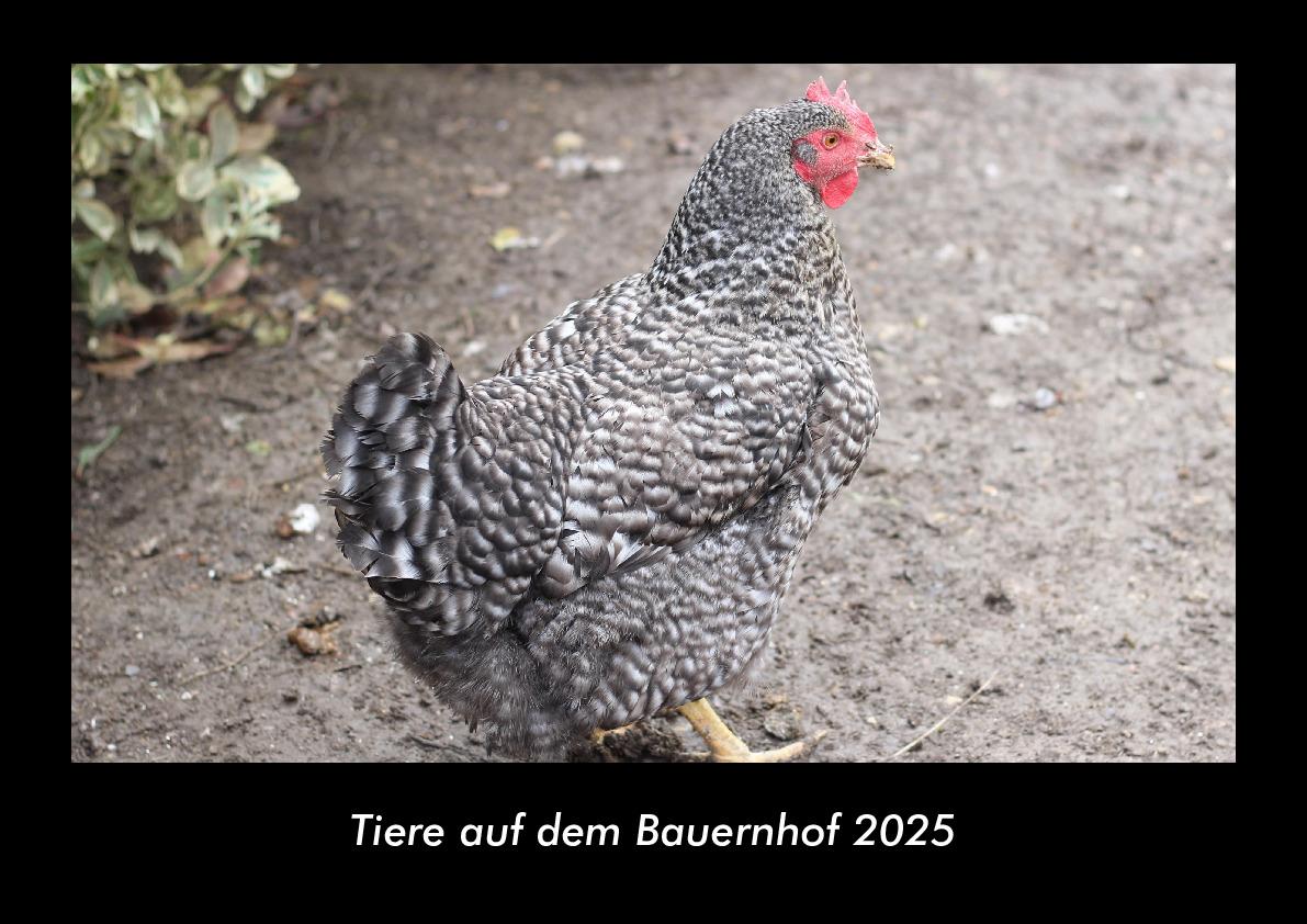 Tiere auf dem Bauernhof 2025 Fotokalender DIN A3