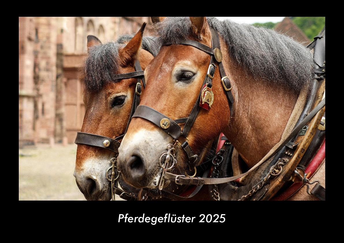 Pferdegeflüster 2025 Fotokalender DIN A3