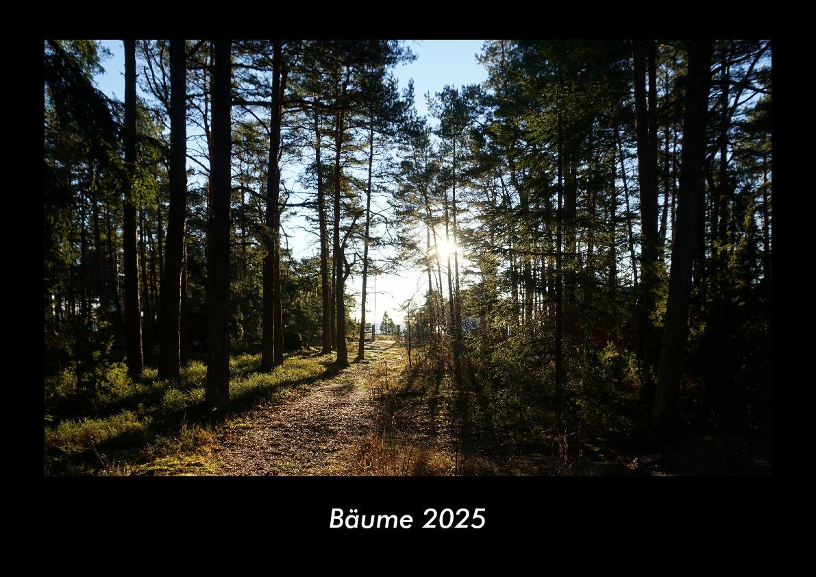 Bäume 2025 Fotokalender DIN A3