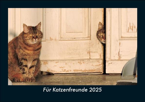 Für Katzenfreunde 2025 Fotokalender DIN A5