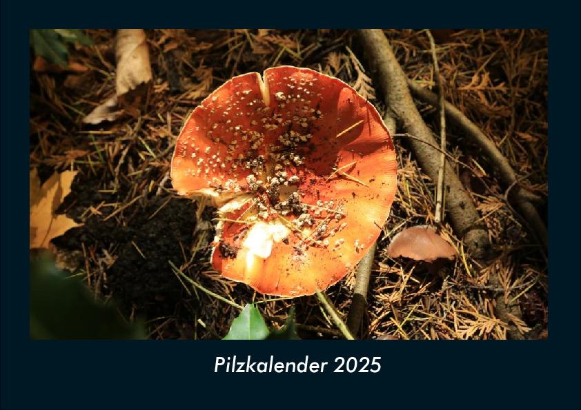 Pilzkalender 2025 Fotokalender DIN A4