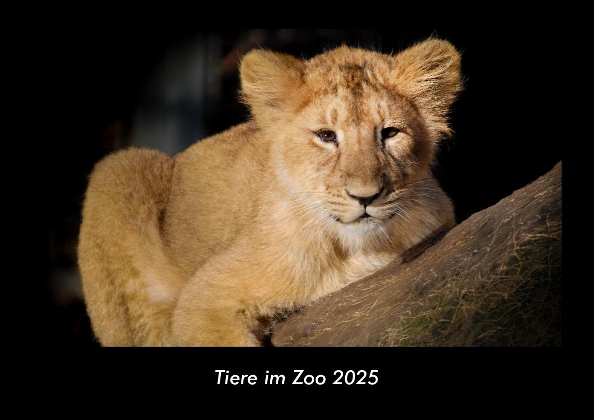 Tiere im Zoo 2025 Fotokalender DIN A3