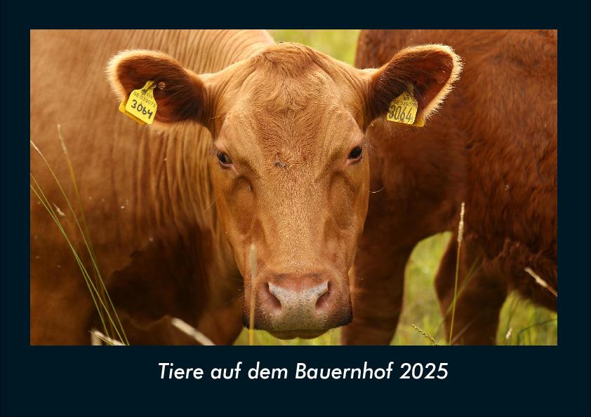 Tiere auf dem Bauernhof 2025 Fotokalender DIN A4