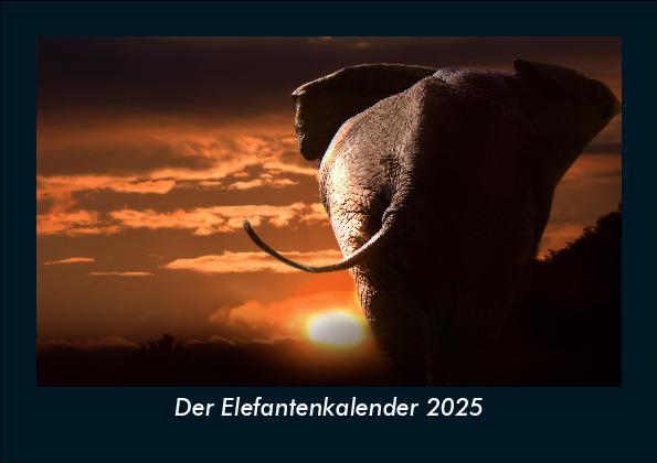 Der Elefantenkalender 2025 Fotokalender DIN A5