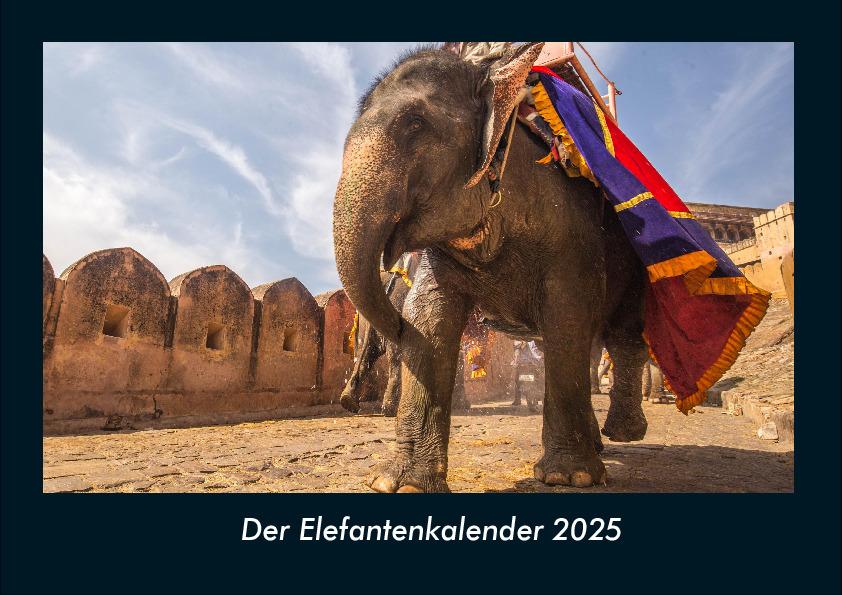 Der Elefantenkalender 2025 Fotokalender DIN A4