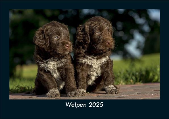 Welpen 2025 Fotokalender DIN A5