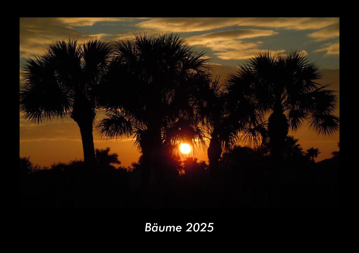 Bäume 2025 Fotokalender DIN A3