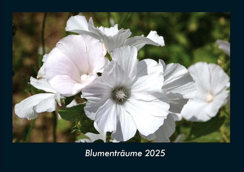 Blumenträume 2025 Fotokalender DIN A4