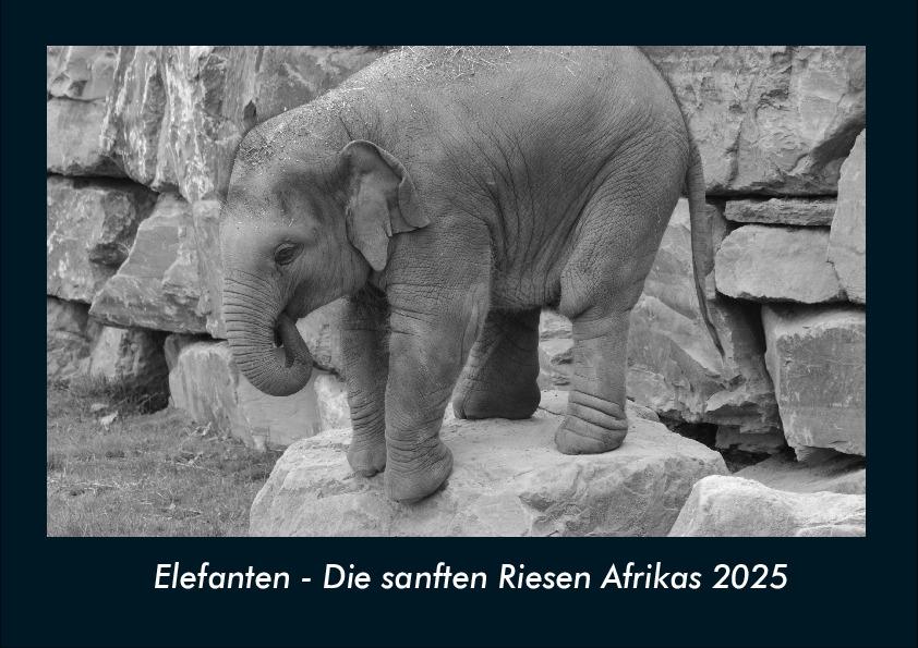 Elefanten - Die sanften Riesen Afrikas 2025 Fotokalender DIN A4