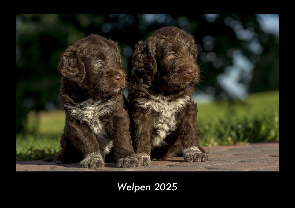 Welpen 2025 Fotokalender DIN A3