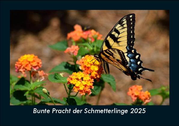 Bunte Pracht der Schmetterlinge 2025 Fotokalender DIN A5