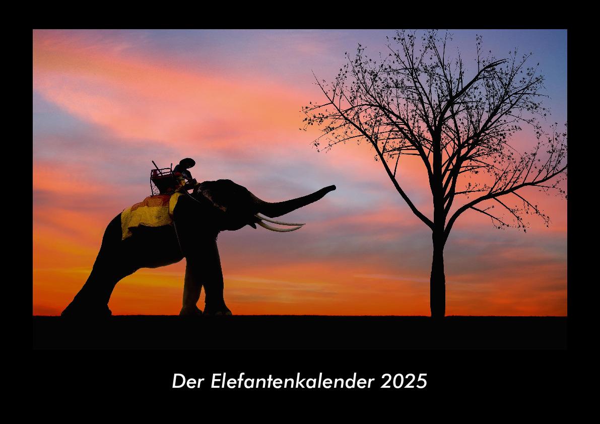 Der Elefantenkalender 2025 Fotokalender DIN A3
