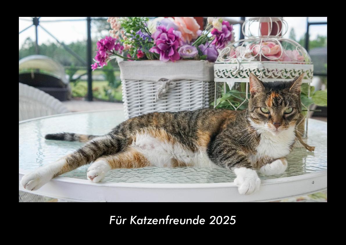 Für Katzenfreunde 2025 Fotokalender DIN A3