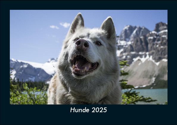 Hunde 2025 Fotokalender DIN A5