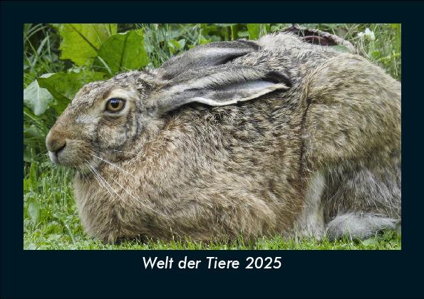 Welt der Tiere 2025 Fotokalender DIN A5