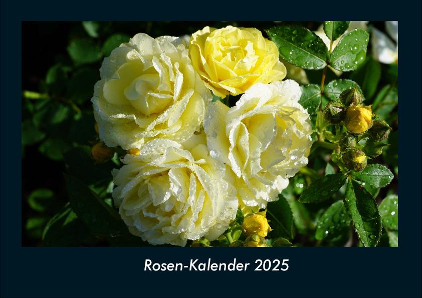 Rosen-Kalender 2025 Fotokalender DIN A4