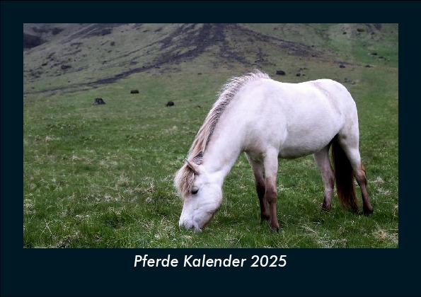 Pferde Kalender 2025 Fotokalender DIN A5