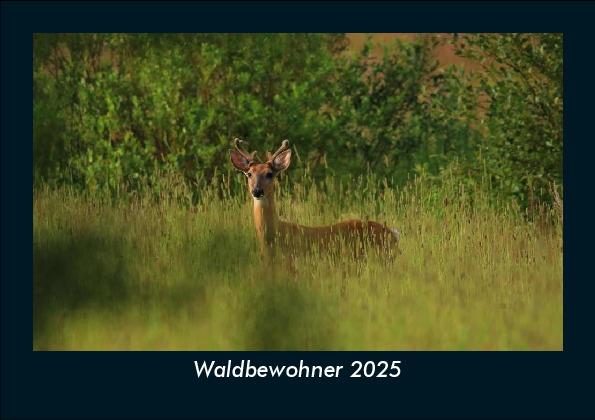 Waldbewohner 2025 Fotokalender DIN A5