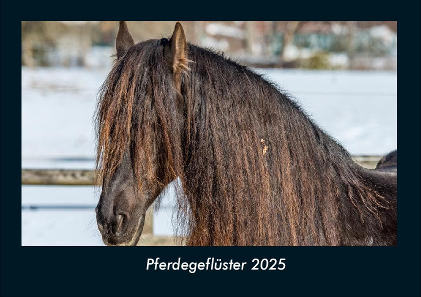 Pferdegeflüster 2025 Fotokalender DIN A4