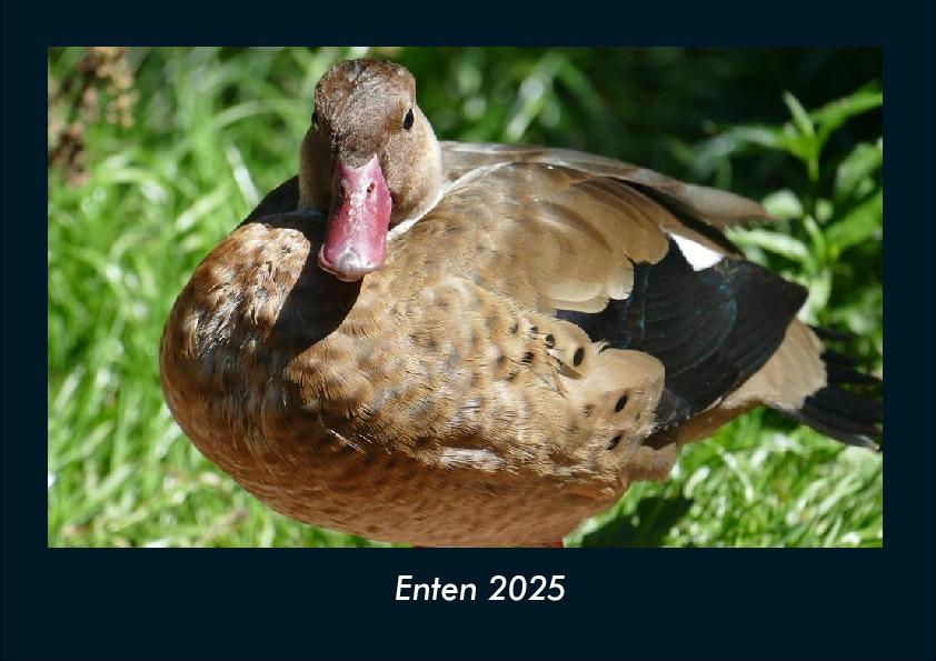 Enten 2025 Fotokalender DIN A4