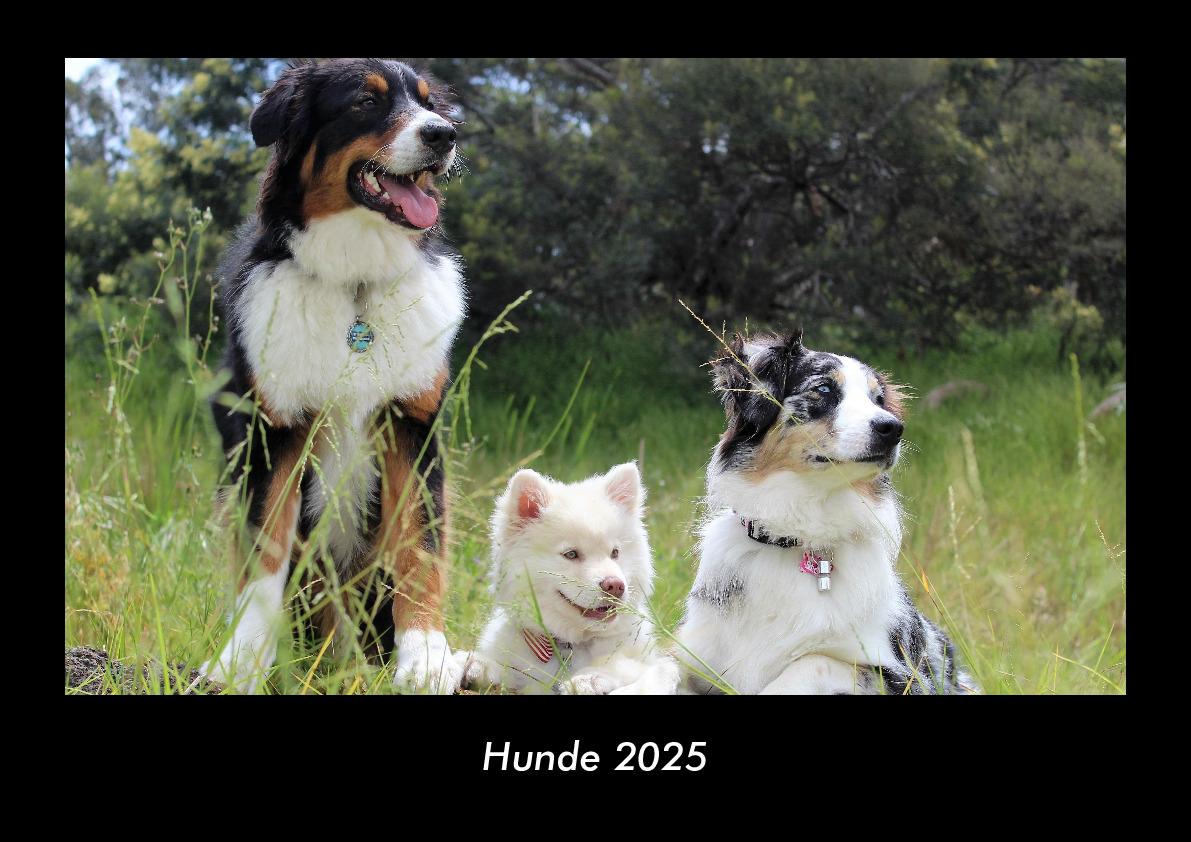 Hunde 2025 Fotokalender DIN A3