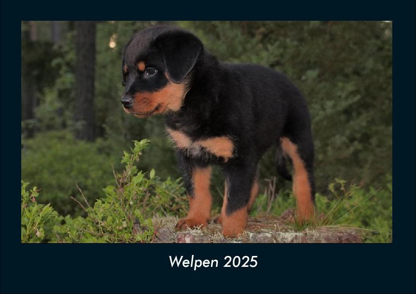 Welpen 2025 Fotokalender DIN A4