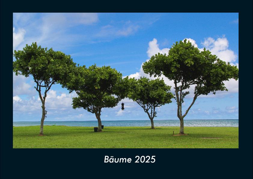 Bäume 2025 Fotokalender DIN A4