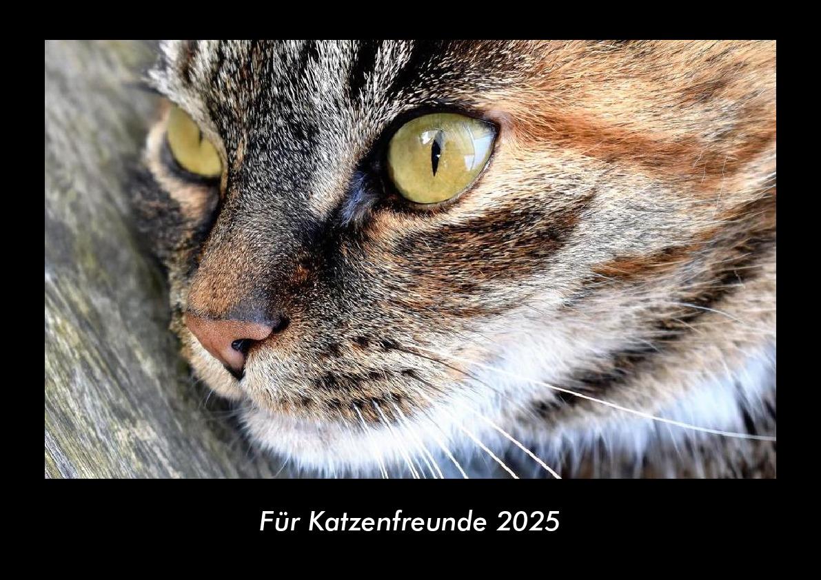 Für Katzenfreunde 2025 Fotokalender DIN A3