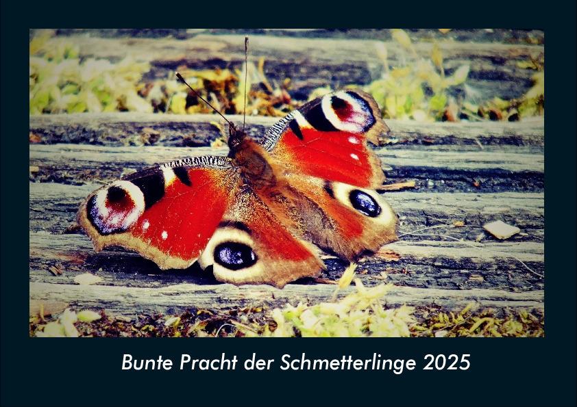 Bunte Pracht der Schmetterlinge 2025 Fotokalender DIN A4