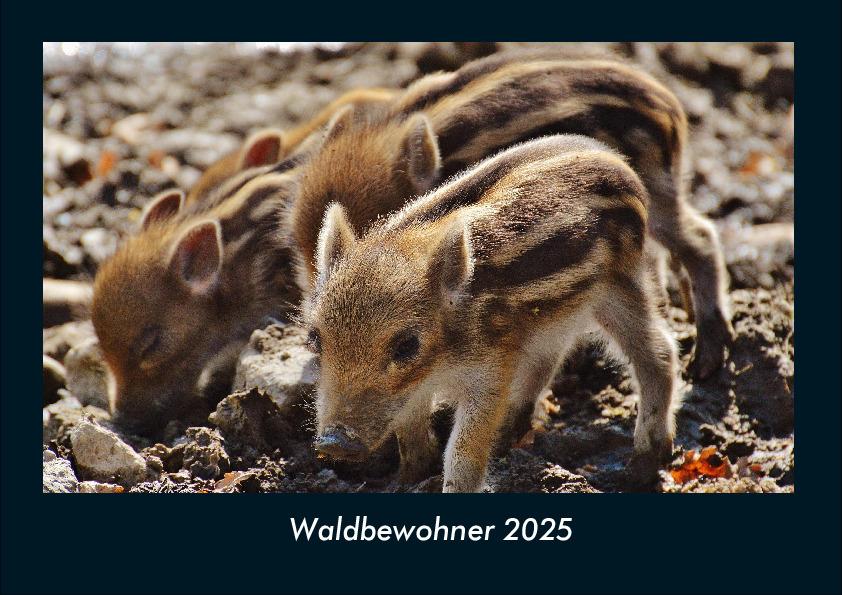 Waldbewohner 2025 Fotokalender DIN A4