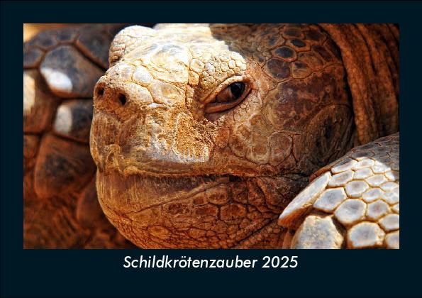 Schildkrötenzauber 2025 Fotokalender DIN A5