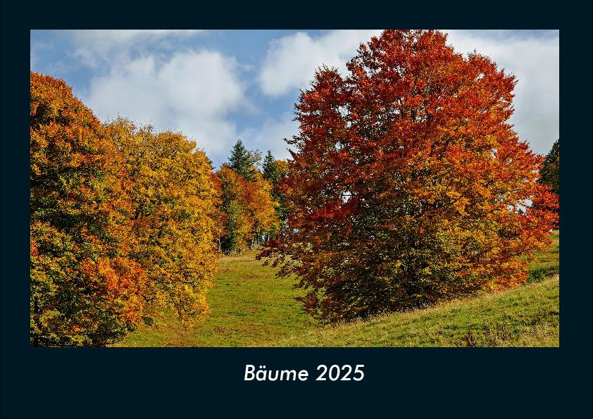 Bäume 2025 Fotokalender DIN A4