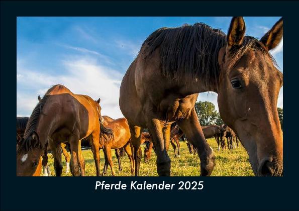 Pferde Kalender 2025 Fotokalender DIN A5