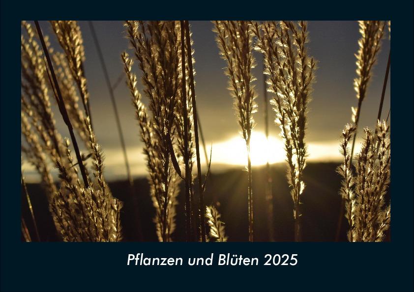 Pflanzen und Blüten 2025 Fotokalender DIN A4