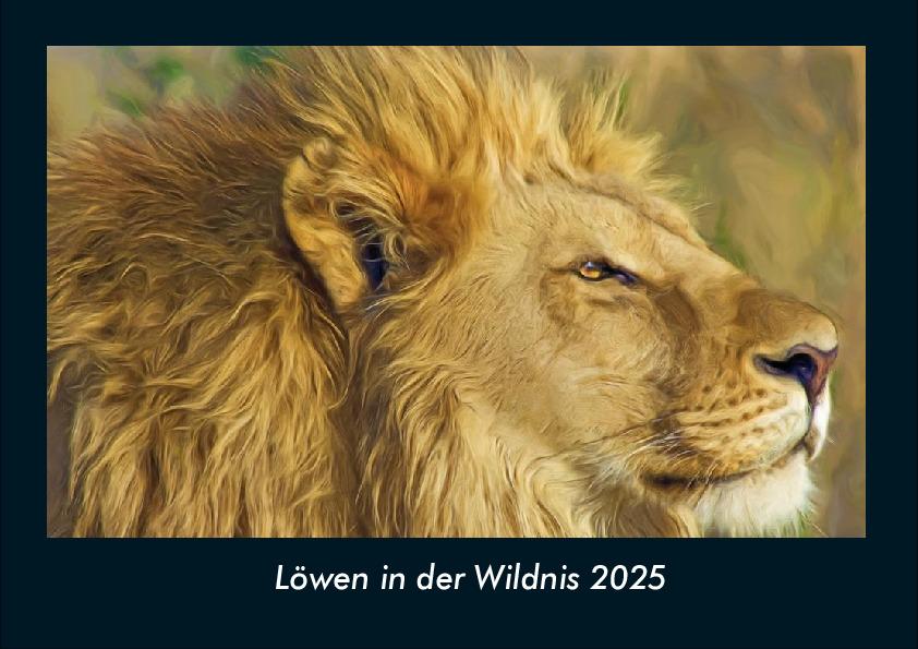 Löwen in der Wildnis 2025 Fotokalender DIN A4