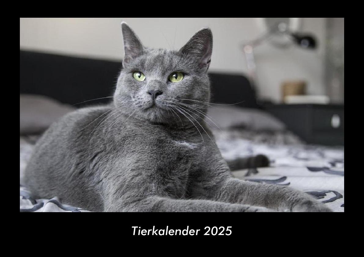 Tierkalender 2025 Fotokalender DIN A3