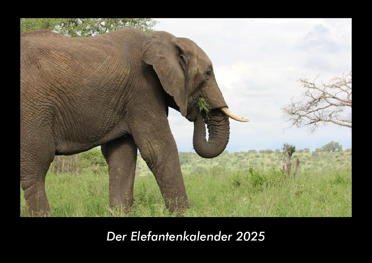 Der Elefantenkalender 2025 Fotokalender DIN A3