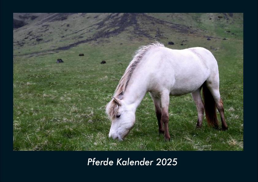 Pferde Kalender 2025 Fotokalender DIN A4