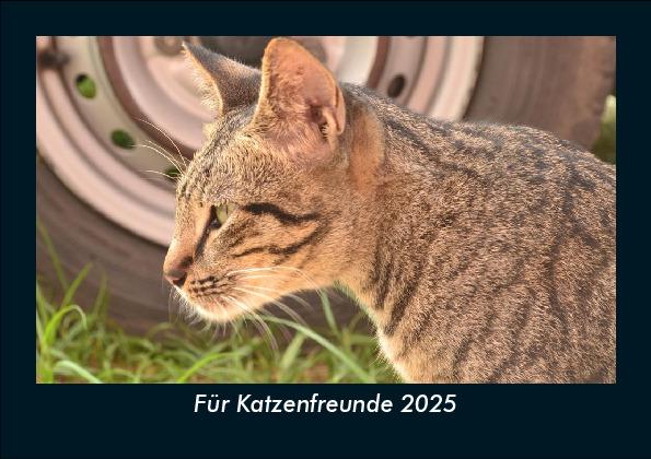 Für Katzenfreunde 2025 Fotokalender DIN A5