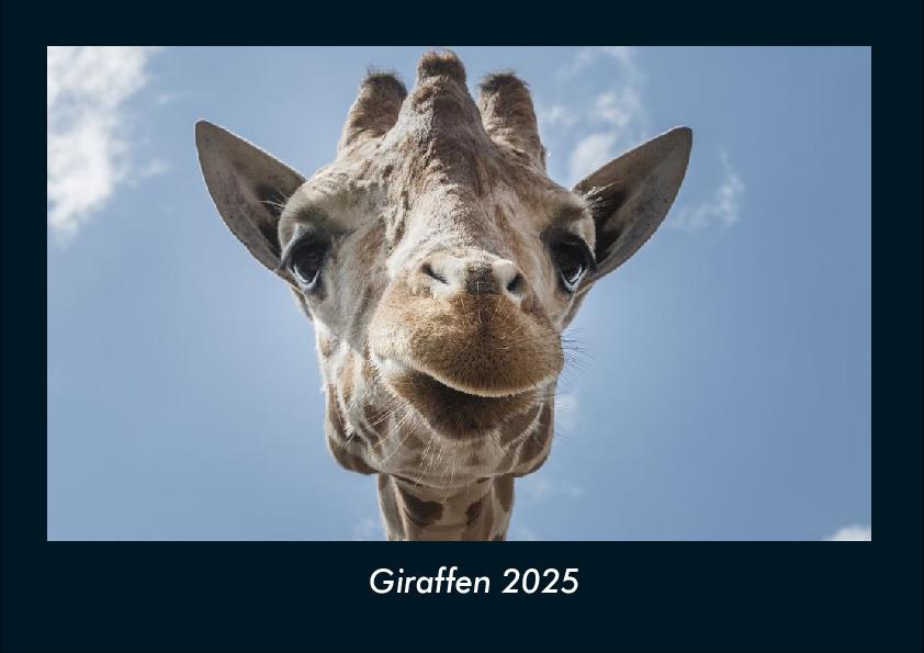 Giraffen 2025 Fotokalender DIN A4