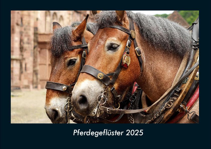 Pferdegeflüster 2025 Fotokalender DIN A4