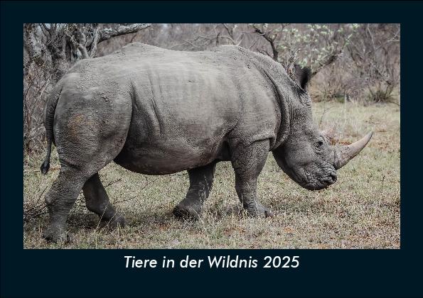 Tiere in der Wildnis 2025 Fotokalender DIN A5