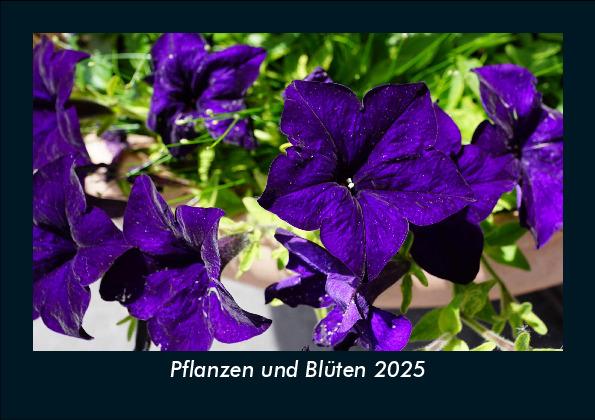 Pflanzen und Blüten 2025 Fotokalender DIN A5