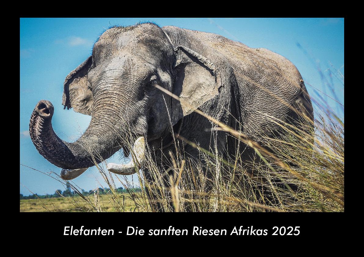 Elefanten - Die sanften Riesen Afrikas 2025 Fotokalender DIN A3
