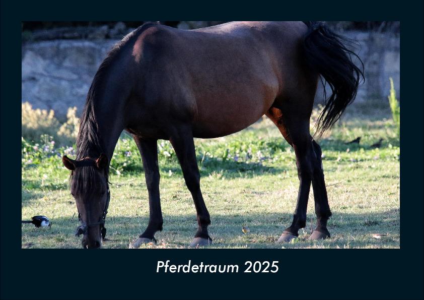 Pferdetraum 2025 Fotokalender DIN A4