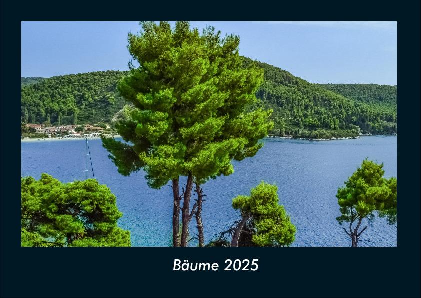 Bäume 2025 Fotokalender DIN A4