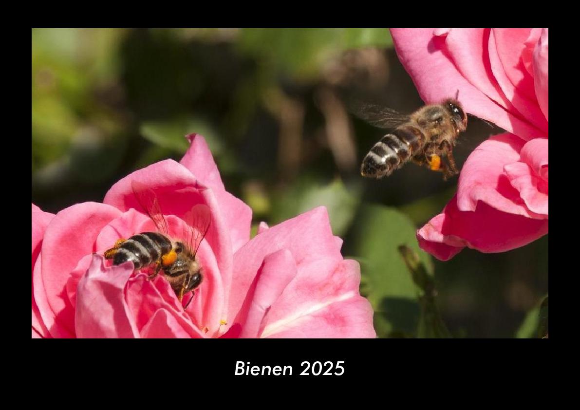 Bienen 2025 Fotokalender DIN A3