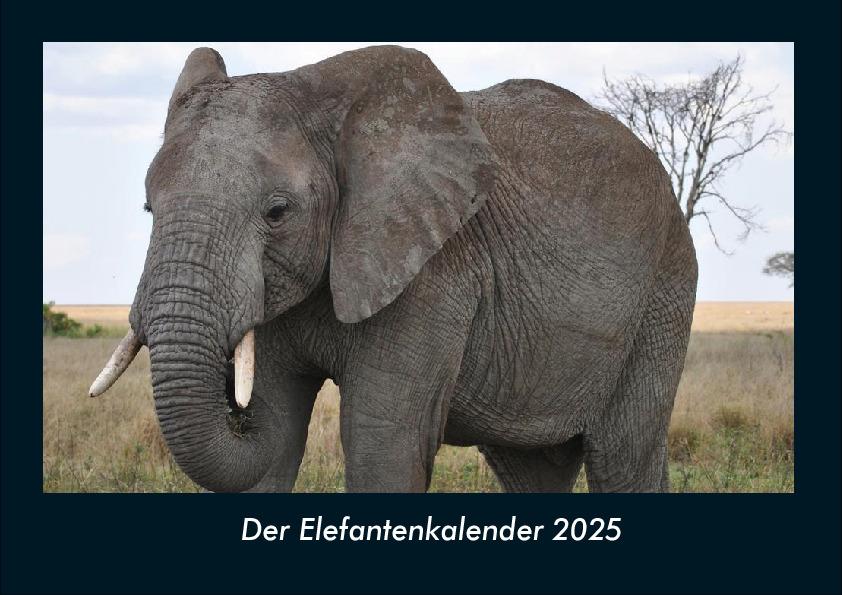 Der Elefantenkalender 2025 Fotokalender DIN A4