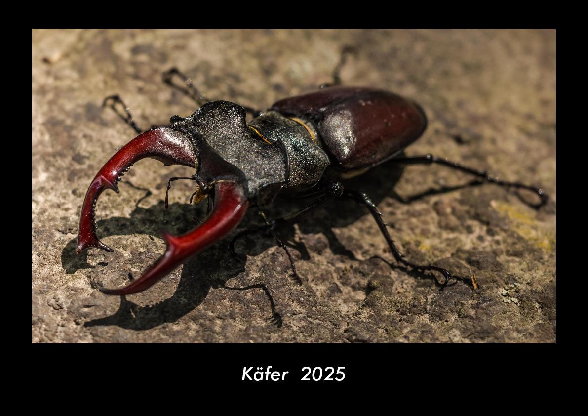Käfer 2025 Fotokalender DIN A3